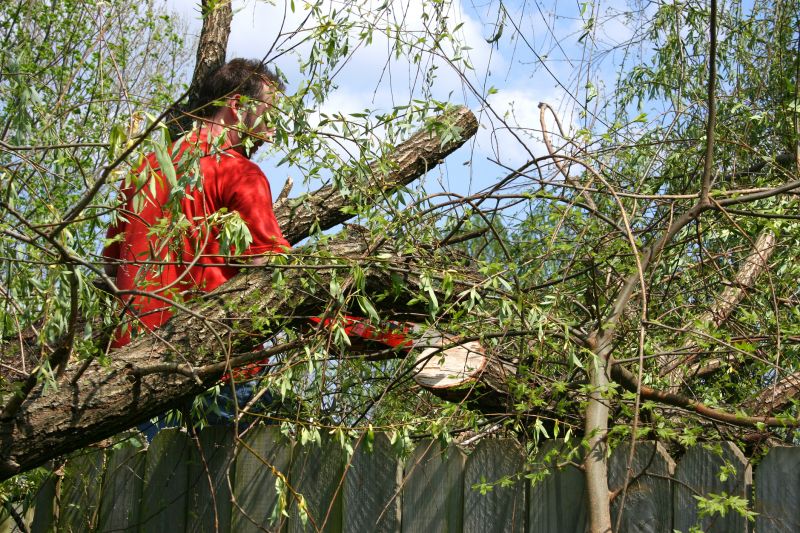 Reduce Tree Weight Stress