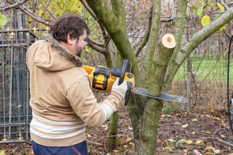 Tree Limb Trimming