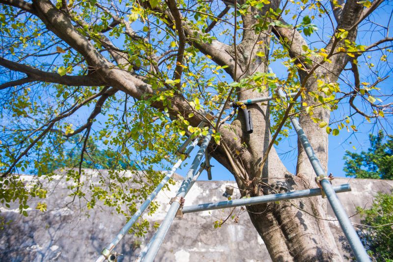 Structural Support Pruning
