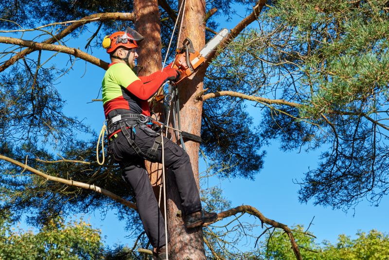 Pruning Large Branches